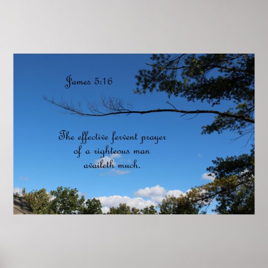 James 5:16 Het effectieve vruchtbare gebed van een Poster (Voorkant)