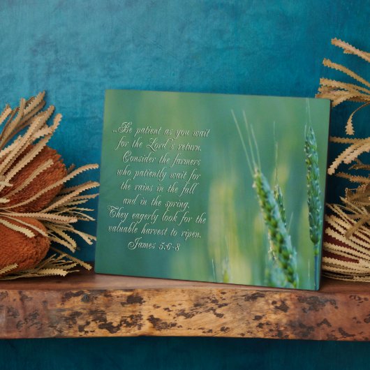 James 5:6-8 DoorzettingsInspirerend Fotoplaat (Zijkant)