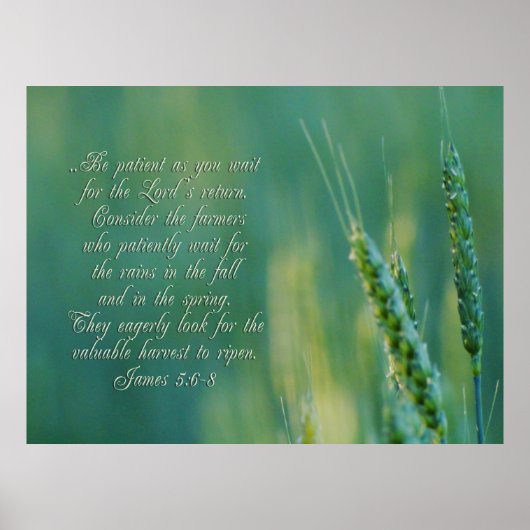 James 5:6-8 DoorzettingsInspirerend Poster (Voorkant)