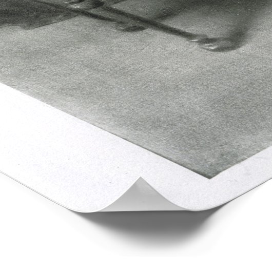 James A. Garfield, 20ste President van de Verenigd Poster (Hoek)