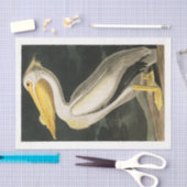 James Audubon Pelican Decoupage Tissue Nautical Tissuepapier (Craft)