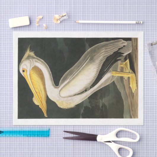 James Audubon Pelican Decoupage Tissue Nautical Tissuepapier (Craft)