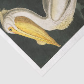 James Audubon Pelican Decoupage Tissue Nautical Tissuepapier (Detail)