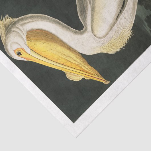 James Audubon Pelican Decoupage Tissue Nautical Tissuepapier (Detail)