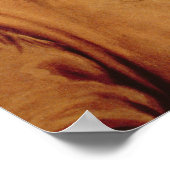 James Butler 'Wild Bill' Hickok (1837-76) 1874 (oi Poster (Hoek)