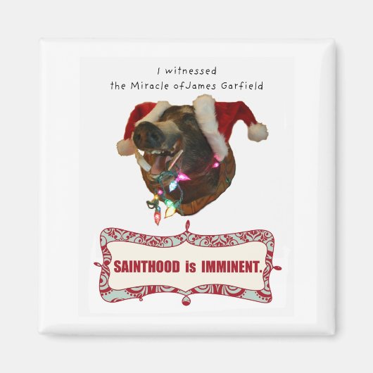 James Garfield voor Sainthood Magneet (Voorkant)