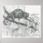 James Johonnot - Chameleon Poster (Voorkant)