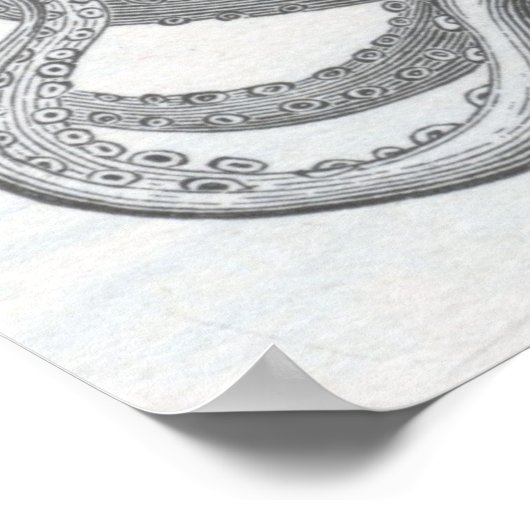 James Johonnot - Octopus Poster (Hoek)