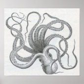 James Johonnot - Octopus Poster (Voorkant)