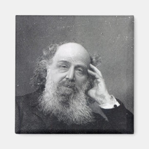 James Joseph Sylvester Magneet