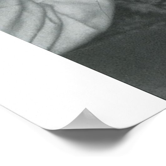 JAMES JOYCE DOOR HET BURBANK ROOS POSTER (Hoek)