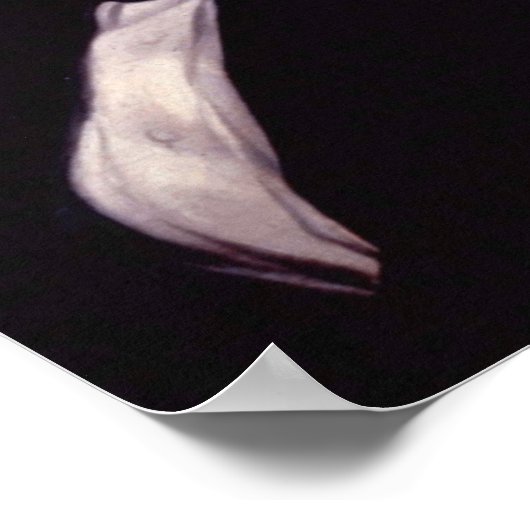 James K. Polk 11 Poster (Hoek)