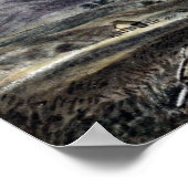 James Madison Alden Rancho en Valley Santa Cruz Poster (Hoek)