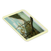 James River, Blue Ridge Mountains, VA  Magneet (Rechterzijde)