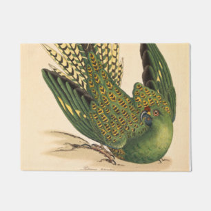 James Sowerby Ground Parrot, Psittacus terrestris Deurmat