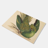 James Sowerby Ground Parrot, Psittacus terrestris Deurmat (Schuin)