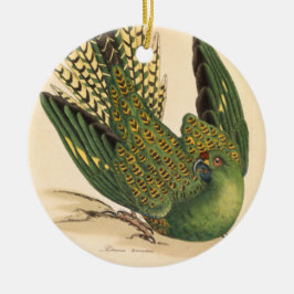 James Sowerby Ground Parrot, Psittacus terrestris Keramisch Ornament