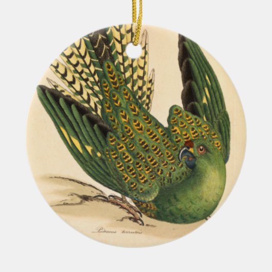 James Sowerby Ground Parrot, Psittacus terrestris Keramisch Ornament (Voorkant)