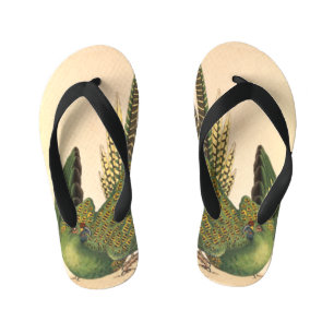 James Sowerby Ground Parrot, Psittacus terrestris Kinder Teenslippers