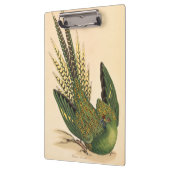 James Sowerby Ground Parrot, Psittacus terrestris Klembord (Links)