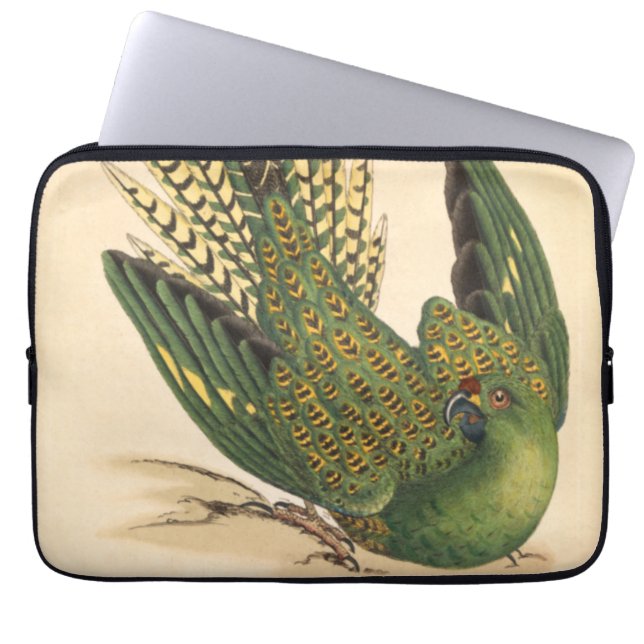 James Sowerby Ground Parrot, Psittacus terrestris Laptop Sleeve (Voorkant)