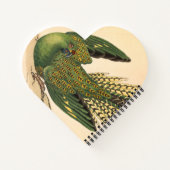 James Sowerby Ground Parrot, Psittacus terrestris Notitieboek (Achterkant)
