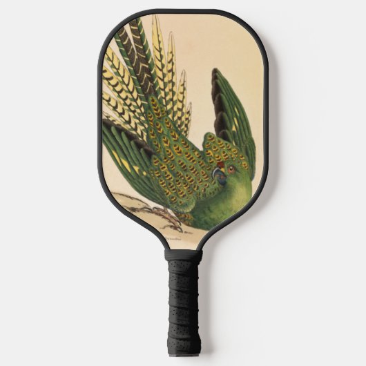 James Sowerby Ground Parrot, Psittacus terrestris Pickleball Paddle (Voorkant)