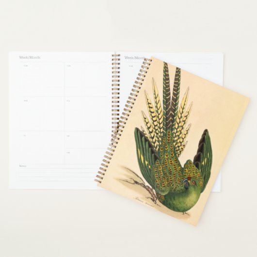 James Sowerby Ground Parrot, Psittacus terrestris Planner (Display)