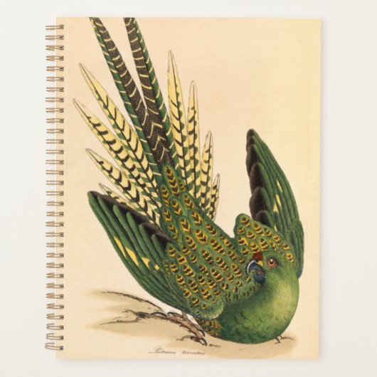 James Sowerby Ground Parrot, Psittacus terrestris Planner (Voorkant)