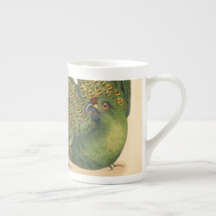 James Sowerby Ground Parrot, Psittacus terrestris Porselein Kop