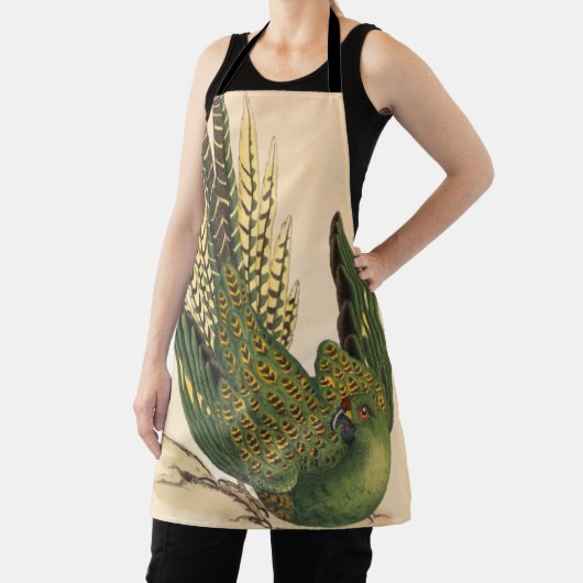 James Sowerby Ground Parrot, Psittacus terrestris Schort (Insitu)