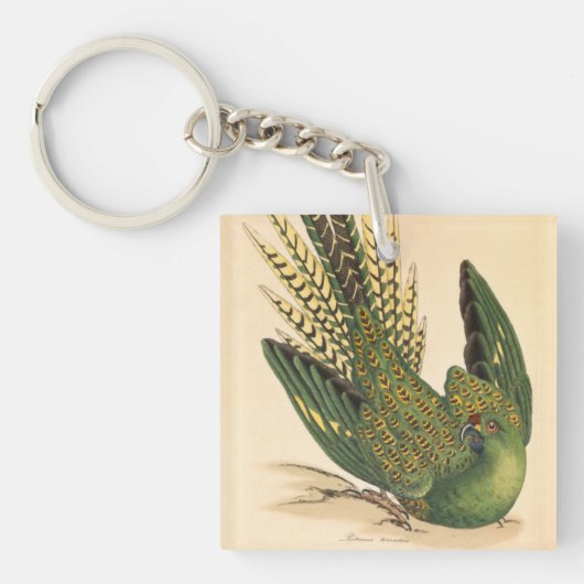 James Sowerby Ground Parrot, Psittacus terrestris Sleutelhanger (voorkant)