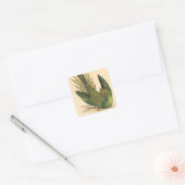 James Sowerby Ground Parrot, Psittacus terrestris Vierkante Sticker (Envelop)
