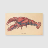 James Sowerby Serrated Lobster (Voorkant)