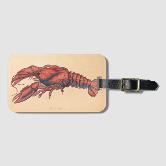 James Sowerby Serrated Lobster Bagagelabel (Voorkant (horizontaal))