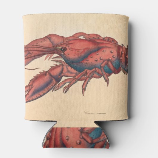 James Sowerby Serrated Lobster Blikjeskoeler (Achterkant)