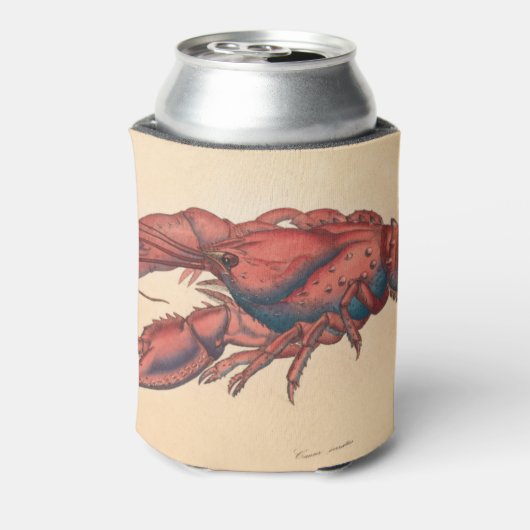 James Sowerby Serrated Lobster Blikjeskoeler (Blikje Achterkant)