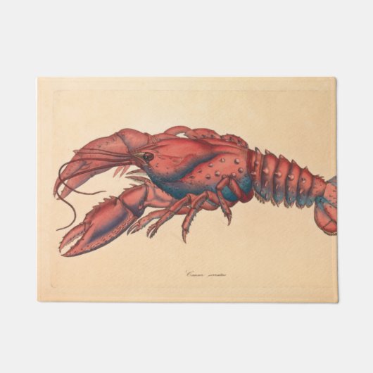James Sowerby Serrated Lobster Deurmat (Voorkant)