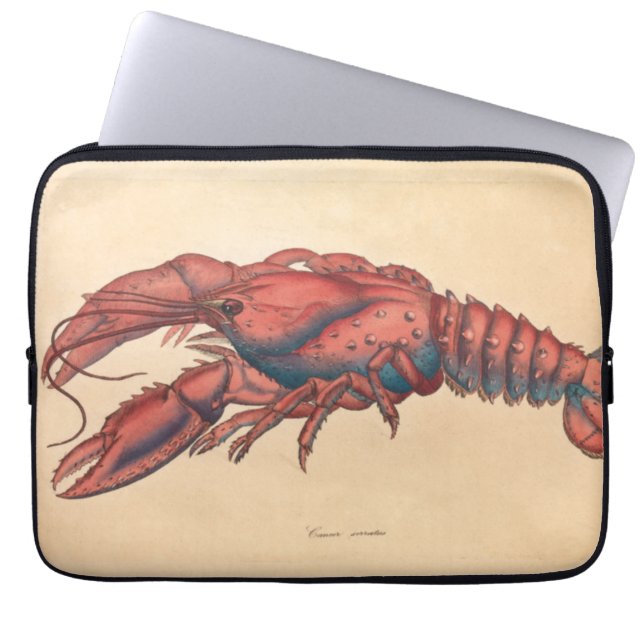 James Sowerby Serrated Lobster Laptop Sleeve (Voorkant)