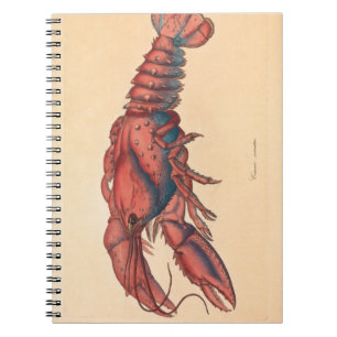 James Sowerby Serrated Lobster Notitieboek