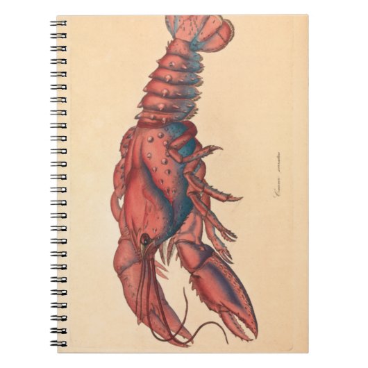 James Sowerby Serrated Lobster Notitieboek (Voorkant)