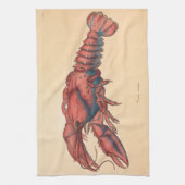 James Sowerby Serrated Lobster Theedoek (Verticaal)