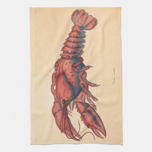 James Sowerby Serrated Lobster Theedoek (Verticaal)