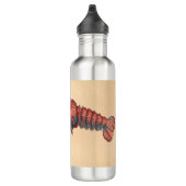 James Sowerby Serrated Lobster Waterfles (Rechts)