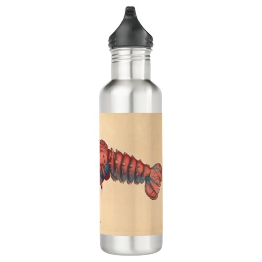 James Sowerby Serrated Lobster Waterfles (Rechts)