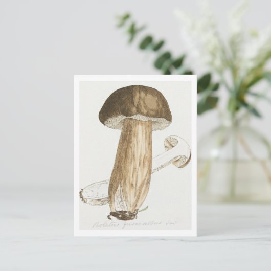 James Sowerby's Gekleurde figuren van Engelse schi Briefkaart (Staand voorkant)