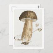 James Sowerby's Gekleurde figuren van Engelse schi Briefkaart (Voorkant / Achterkant)