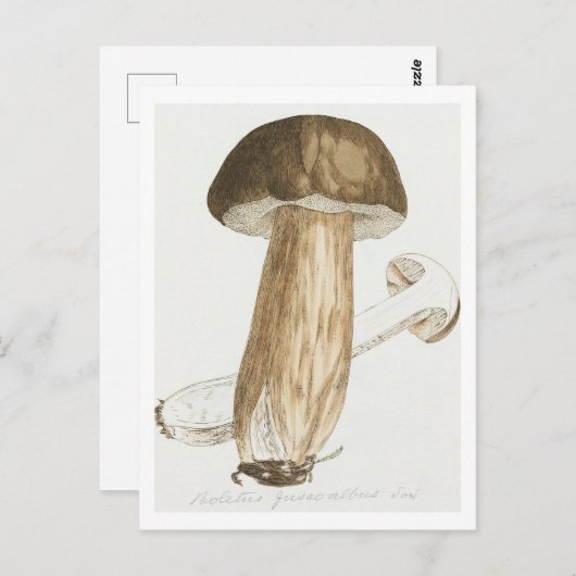 James Sowerby's Gekleurde figuren van Engelse schi Briefkaart (Voorkant / Achterkant)