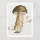 James Sowerby's Gekleurde figuren van Engelse schi Briefkaart (Voorkant)