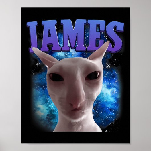 James The Cat Meme Grappige Gekke Katten Brainrot Poster (Voorkant)